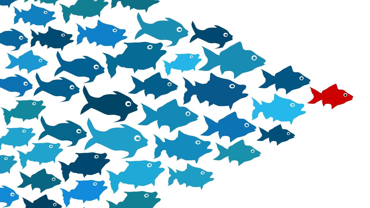 2xbmKFQlRyKKorh0ufPz_bigstock-fishes-in-group-leadership-con-43450855