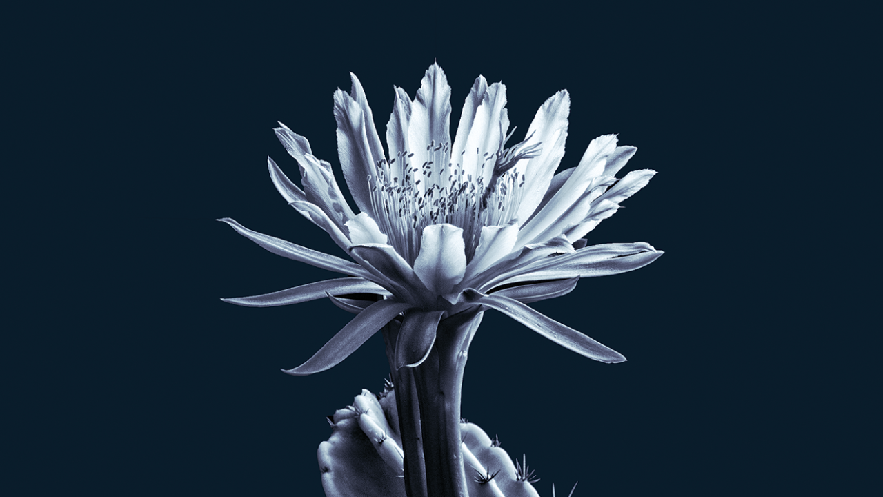 Fear_to_hope-1536x1536