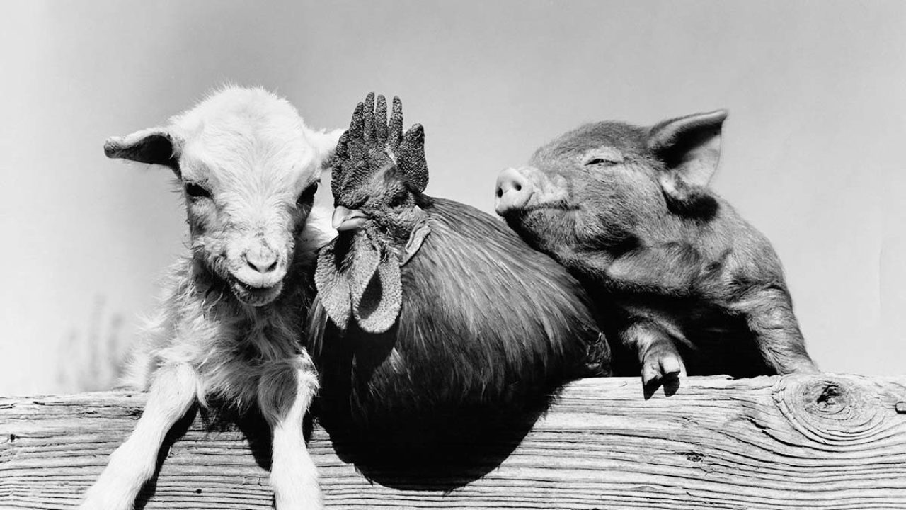 How Managers Can Avoid Playing Favorites